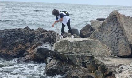 МОСВ: Водата в Черно море е чиста