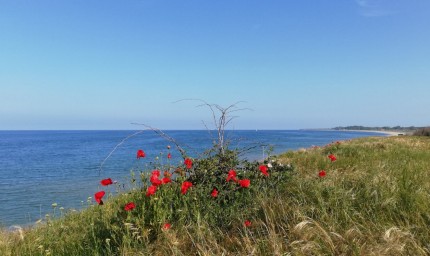 Проби от морската вода край „Иканаталъка“ са взети заради сигнали за умряла риба