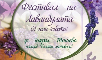 Фестивал на лавандулата днес в Генерал Тошево