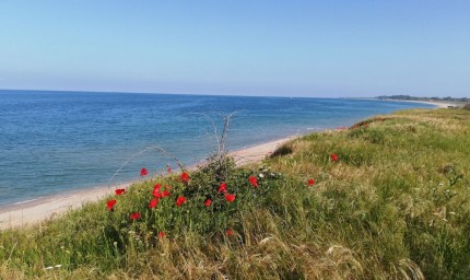 Няма данни за замърсяване в българската акватория на Черно море