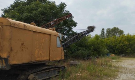 Двойка бели щъркели в Русе избра необичайно място за гнездо