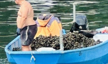 Инспектори на ИАРА съставиха акт за улов на черна морска мида