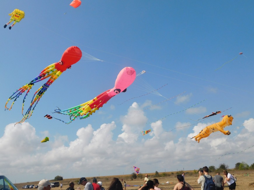 Фестивалът на хвърчилата в Шабла дари усмивки и слънчеви емоции за жителите и гостите на морския град (СНИМКИ)