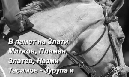 Десети юбилеен турнир по конен спорт в село Селце